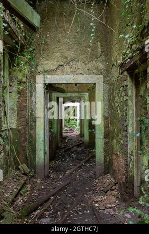 Doorways, Baron Hill House, Beaumaris, Anglesey UK Foto Stock