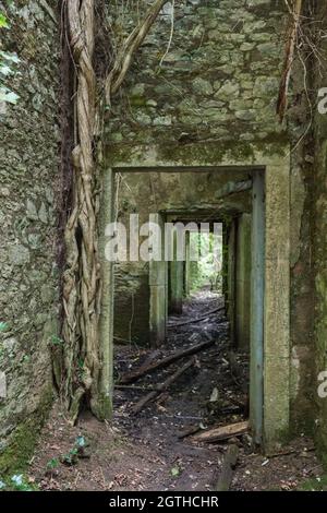 Doorways, Baron Hill House, Beaumaris, Anglesey UK Foto Stock