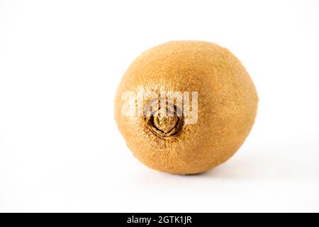 Kiwi Fruit macro close up, sfondo bianco, formato orizzontale Foto Stock