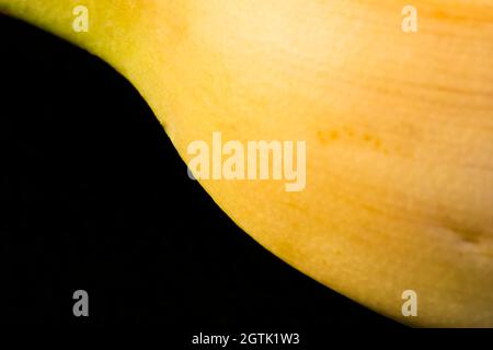 Macro frutta: Banana matura estrema close-up, formato orizzontale, sfondo nero Foto Stock