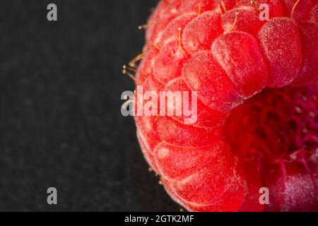 Macro frutta: Lampone maturo close-up estremo, sfondo nero, formato orizzontale Foto Stock