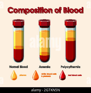 Diagramma che mostra la composizione del sangue Illustrazione Vettoriale