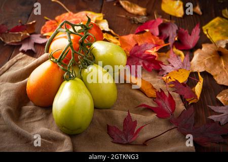 Una foto studio di pomodori roma maturi e foglie autunnali. Foto Stock