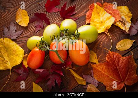 Una foto studio di pomodori roma maturi e foglie autunnali. Foto Stock