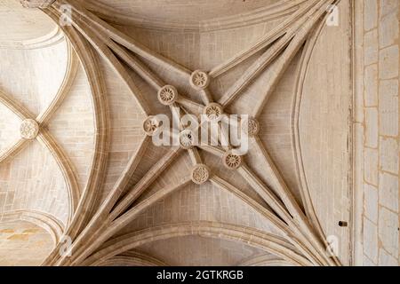 Segovia, Spagna. Volta a coste gotiche all'interno della cattedrale di Segovia nel chiostro Foto Stock