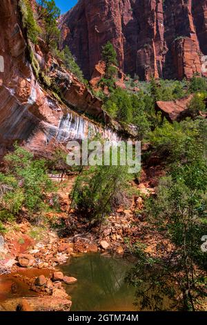 Piscina inferiore smeraldo con cascata nel Parco Nazionale di Zion Foto Stock