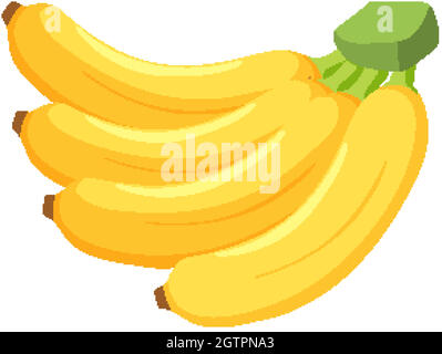 Grappolo di banane isolati su sfondo bianco Illustrazione Vettoriale