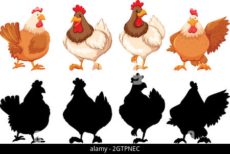 Silhouette, colore e contorno dei polli Illustrazione Vettoriale