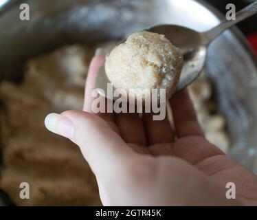 polpette sminuzzate fatte in casa crude Foto Stock