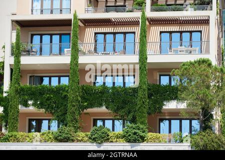 Facciata di un edificio con piante da arrampicata e cipressi Foto Stock