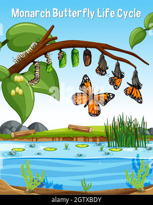 Scena con Monarch Butterfly Life Cycle Illustrazione Vettoriale