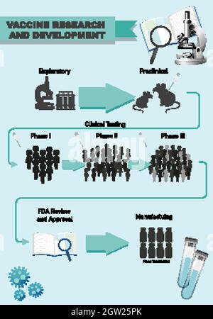 Infografica sulla ricerca e lo sviluppo dei vaccini Illustrazione Vettoriale