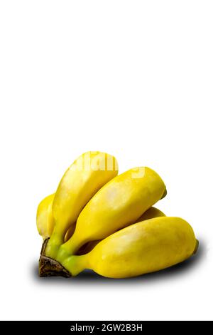 Mazzo di banane di mele (Musa acuminata) su sfondo bianco. Foto prodotta in uno studio Foto Stock