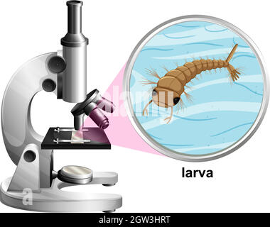 Microscopio con zanzara larva su sfondo bianco Illustrazione Vettoriale