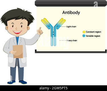 Un medico con anticorpi sullo schermo del proiettore in stile cartone animato Illustrazione Vettoriale