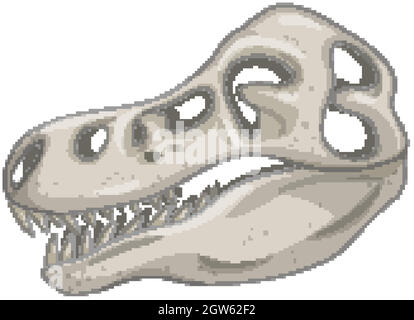 Cranio di scheletri di dinosauri su sfondo bianco Illustrazione Vettoriale