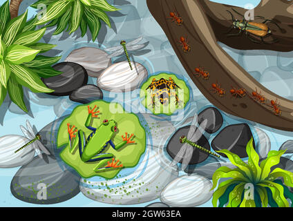 Vista dall'alto di diversi tipi di rana nella foresta pluviale Illustrazione Vettoriale