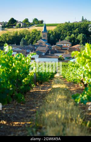 Saint Julien villaggio e rode in Beaujolais terra, Francia Foto Stock