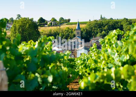 Saint Julien villaggio e rode in Beaujolais terra, Francia Foto Stock