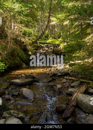 Piccolo fiume che scorre rapidamente e vividamente attraverso la sua valle rocciosa selvaggia Foto Stock