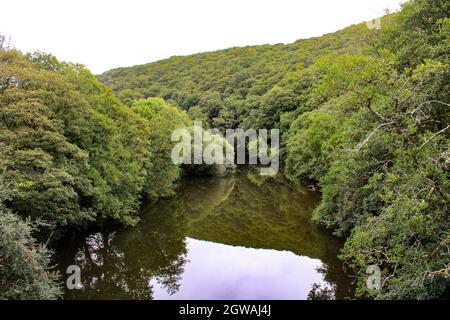 Catture di inizio autunno nella campagna inglese. La pista ciclabile Tarka Trail nel Devon settentrionale Foto Stock