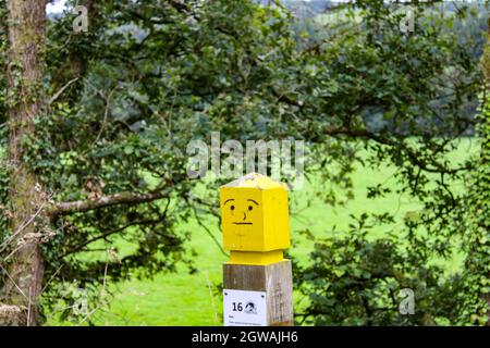 Catture di inizio autunno nella campagna inglese. La pista ciclabile Tarka Trail nel Devon settentrionale Foto Stock