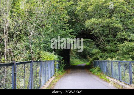 Catture di inizio autunno nella campagna inglese. La pista ciclabile Tarka Trail nel Devon settentrionale Foto Stock