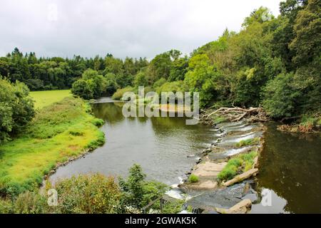 Catture di inizio autunno nella campagna inglese. La pista ciclabile Tarka Trail nel Devon settentrionale Foto Stock