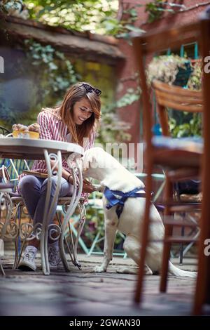 bella giovane caucasica rosso adulto che ha un buon tempo con il suo cane in un caffè in cui sono ammessi gli animali domestici, sedersi all'aperto, giocare, tenere zampa di un animale domestico Foto Stock
