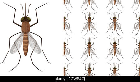 Insetti di zanzara isolati su sfondo bianco e senza giunture Illustrazione Vettoriale