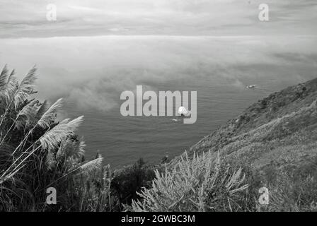 Misty Big sur Coastline (monocromatico) Foto Stock