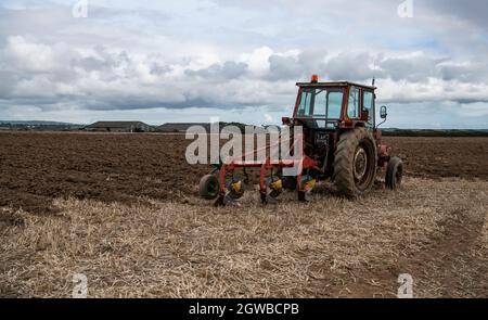 Trattore vintage in un campo Cornish, trattori vintage, trattori vecchi, Foto Stock