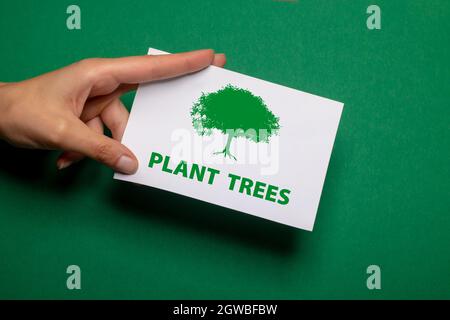 la mano femmina tiene un pezzo di carta con l'iscrizione piante alberi in verde scrittura su forte sfondo di cartone verde Foto Stock