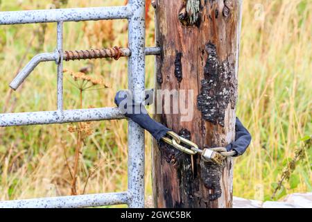 Lucchetto e catena montati su un cancello dell'azienda agricola Foto Stock