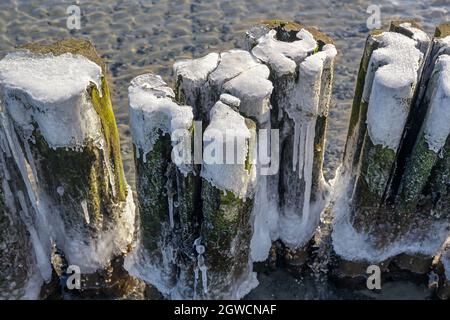 Grotte di legno intemperie con ghiaccio sulla spiaggia della costa del Mar Baltico nella Germania settentrionale, fuoco selezionato, stretta profondità di campo Foto Stock