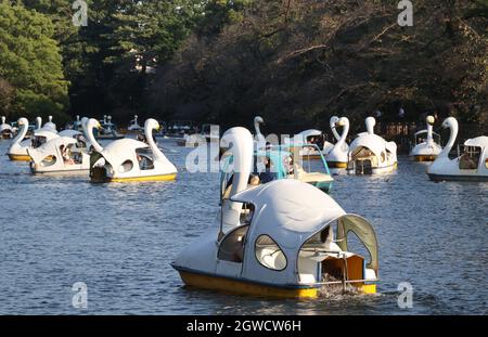 Tokyo, Giappone. 3 ottobre 2021. La gente ama fare un giro in barca a cigno su un lago del Parco Inokashira di Tokyo domenica 3 ottobre 2021. Lo stato di emergenza COVID-19 del Giappone è stato revocato in tutte le aree il 1° ottobre. Credit: Yoshio Tsunoda/AFLO/Alamy Live News Foto Stock