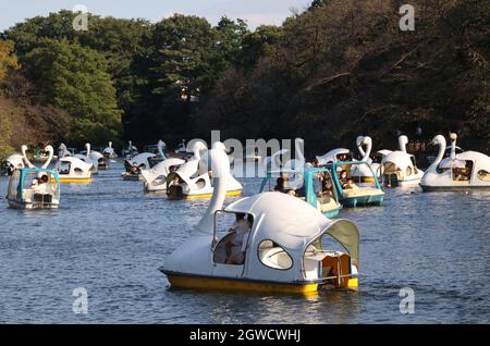 Tokyo, Giappone. 3 ottobre 2021. La gente ama fare un giro in barca a cigno su un lago del Parco Inokashira di Tokyo domenica 3 ottobre 2021. Lo stato di emergenza COVID-19 del Giappone è stato revocato in tutte le aree il 1° ottobre. Credit: Yoshio Tsunoda/AFLO/Alamy Live News Foto Stock