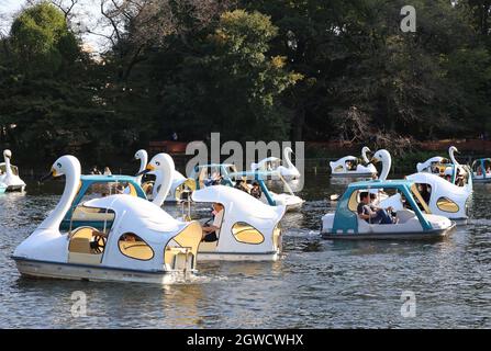 Tokyo, Giappone. 3 ottobre 2021. La gente ama fare un giro in barca a cigno su un lago del Parco Inokashira di Tokyo domenica 3 ottobre 2021. Lo stato di emergenza COVID-19 del Giappone è stato revocato in tutte le aree il 1° ottobre. Credit: Yoshio Tsunoda/AFLO/Alamy Live News Foto Stock