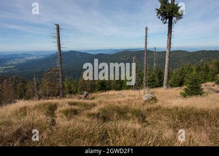 Blick über den Bayerischen Wald vom Aussichtspunkt Heugstatt - una vista della foresta bavarese dal punto di vista di Heugstatt ad un'altezza di 1262 metri Foto Stock