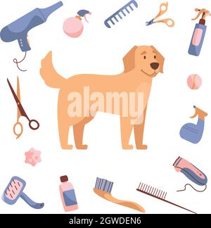 Cura del cane in stile cartoon. Golden Retriever e prodotti per la cura, shampoo, tagliafili, pettini, forbici. Illustrazione vettoriale isolata su sfondo bianco Illustrazione Vettoriale