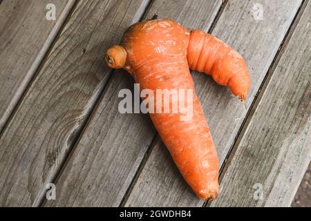 Una meravigliosa carota, precedentemente non trovata nei supermercati, ora tutta una parte del divertimento. Ampio spazio di copia per la massima libertà di layout. Ci sono affermazioni che l'oran Foto Stock