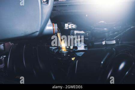 Meccanico che versa olio lubrificante nel motore dell'automobile per la manutenzione del veicolo, concetto di servizio di manutenzione dell'automobile. Foto Stock