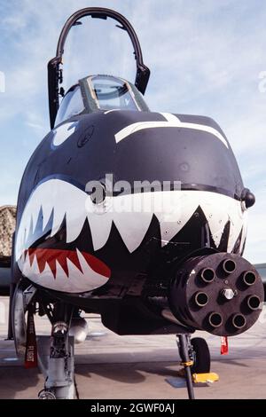 Vista frontale di un Fairchild Republic A-10 Thunderbolt II a Holloman AFB, che mostra il cannone rotante GAU da 30 mm nel naso. Foto Stock