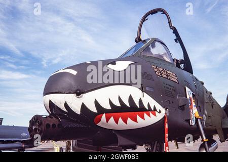 Vista frontale di un Fairchild Republic A-10 Thunderbolt II a Holloman AFB, che mostra il cannone rotante GAU da 30 mm nel naso. Foto Stock