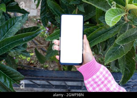 Immagine mockup del closeup donna mano che tiene il telefono cellulare con bianco bianco schermo desktop all'aperto. Foglie verdi sullo sfondo. Foto Stock