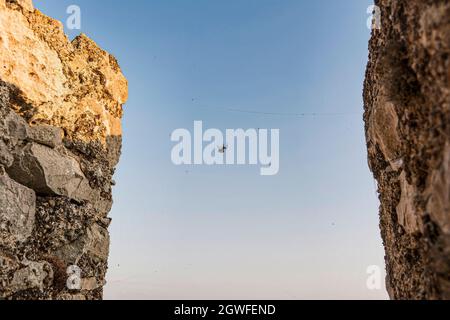 Zebra ragno sulla ragnatela tra due rocce, la Grecia Foto Stock