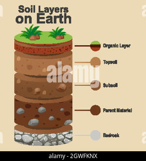 Strati della Terra su sfondo bianco Illustrazione Vettoriale