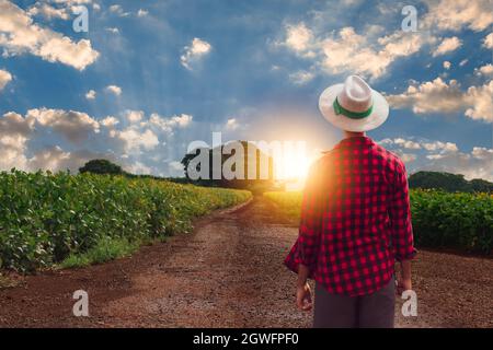 Agricoltore con cappello di fronte alla piantagione di soia coltivazione fattoria. Foto Stock