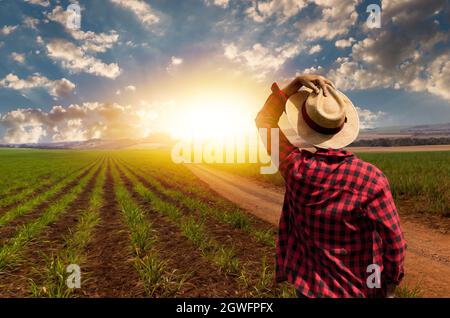 Coltivatore con cappello di fronte alla piantagione di grano fattoria. Foto Stock