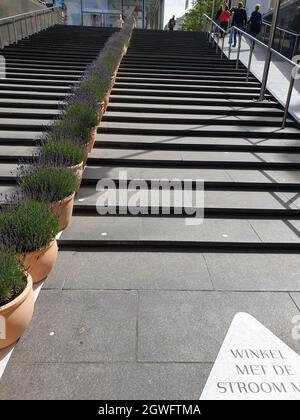 La segnaletica sociale di distanziamento era logorata in una terrazza di Rotterdam Foto Stock